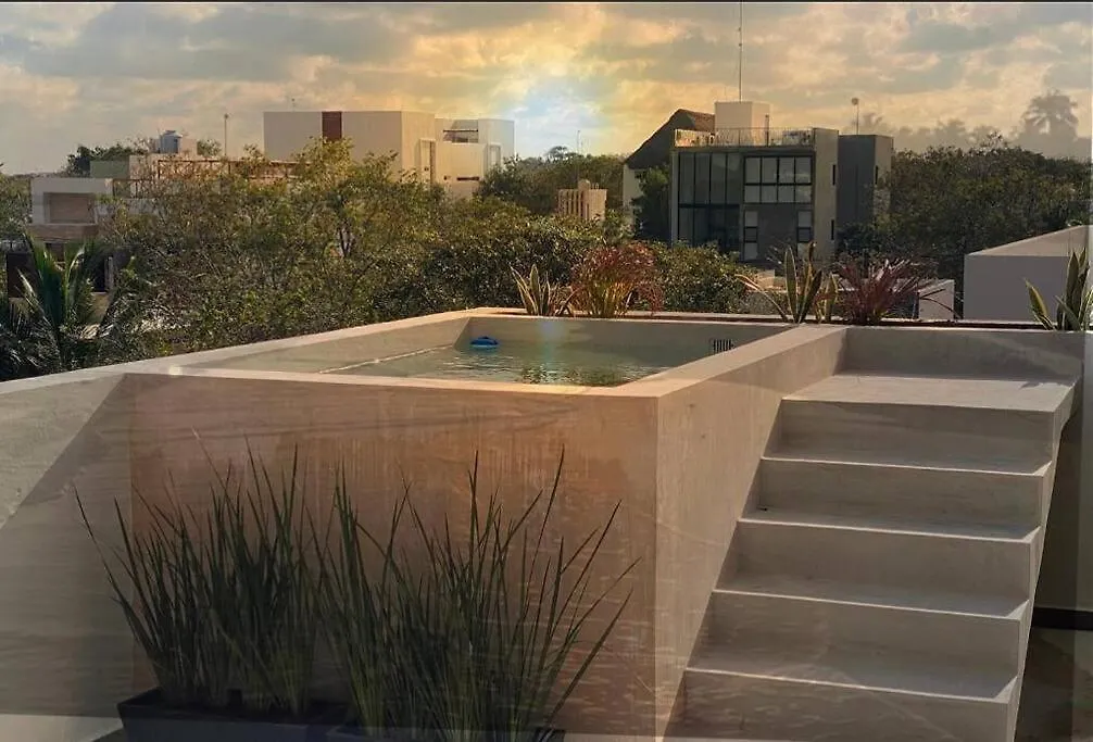Stylish And Cozy Ph Studio Tulum
